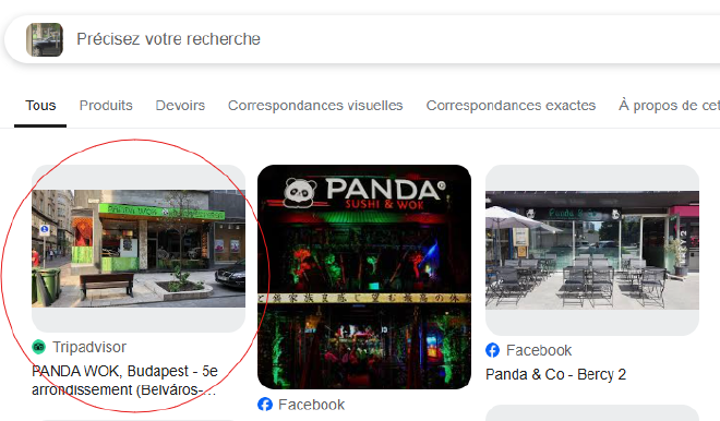 google lense result